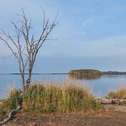Ich schau beim Fenster raus ....