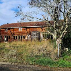 Old house with a big wine barrel out the side