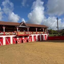 Bull ring