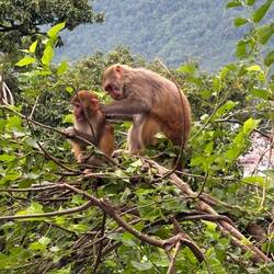 Nit picking is actually a good thing!