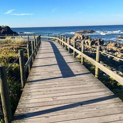I enjoyed the boardwalks. And of course being along the ocean made it even better.