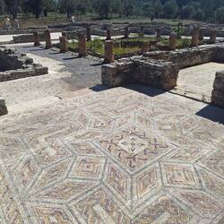 Huge 37,000 square foot house!