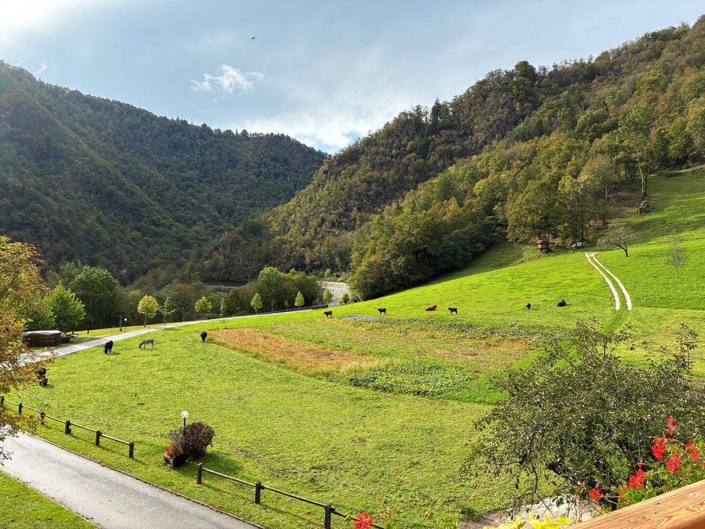 Aussicht von unserem Balkon