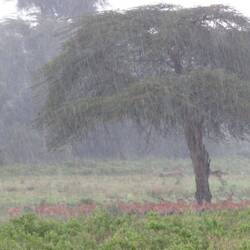 Unterwegs im Gewitter
