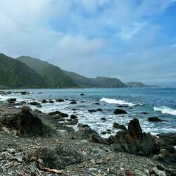 Blick zurück Richtung Wellington