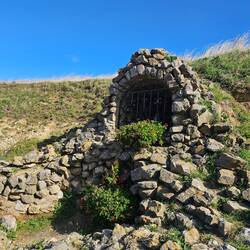 An der Böschung vom Strandweg