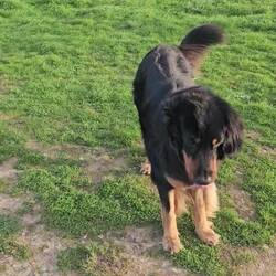 Immer noch recht stürmisch