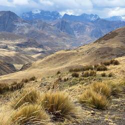 Its absolutely deserted.