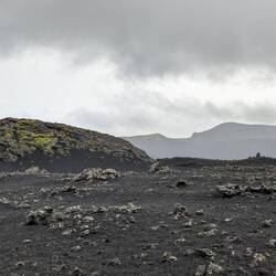 Shades of gray. Or maybe grey?