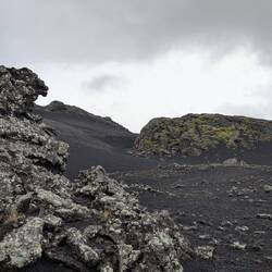 Sculpted landscaping