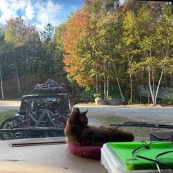 Cinnamon was enjoying the view when we got back