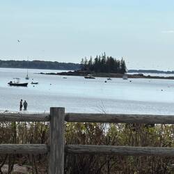 Lunch at Able's Lobster at Somes Sound.
