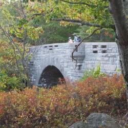 Stone Bridges are numerus on the carriage roads