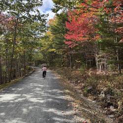 Bicycles share the carriage roads with hikers and horse drawn carriages