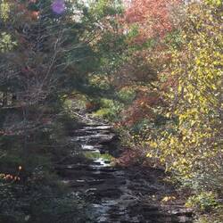 A beautiful stream