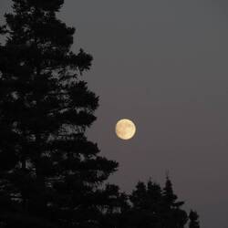 As we were getting ready to leave Schoodic Point Les noticed the moon to the east.