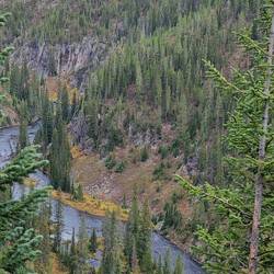 Lewis River