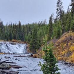 Lewis Falls