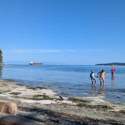 Krebssuche im erstaunlich warmen Wasser auf Saysuthun Island