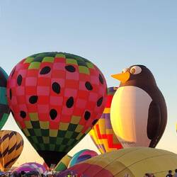 "Tall Steve" the Penguin