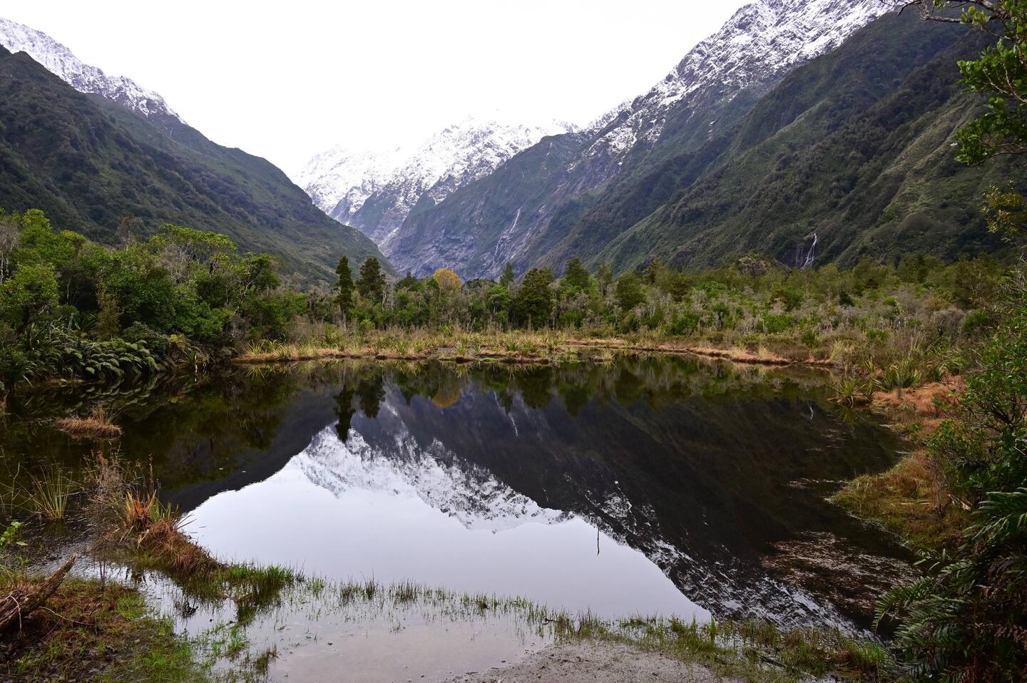 Peter's Pool, a kettle lake near Franz Josef