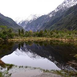 Peter's Pool, a kettle lake near Franz Josef