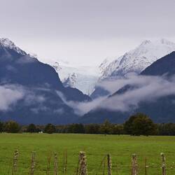 Fox Glacier