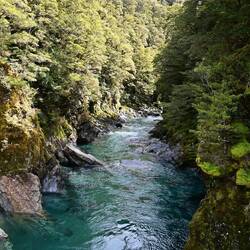 The Blue Pools, on the Makarora River