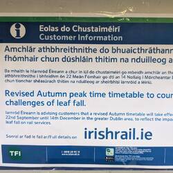 Auch hier kämpft man mit Herbstlaub auf der Schiene