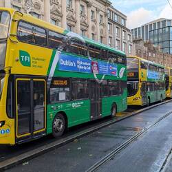Busse sieht man hier allerorten - meist im Rudel
