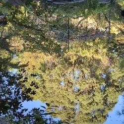 Heian Jingu gardens, children in background