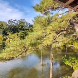 View from bridge