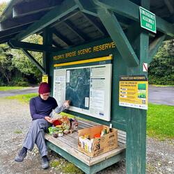 Pause am Pelorus River