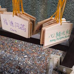 At the Mt Fuji Shrine there were these 2 prayer boards with Chris & Alyssa next to each other!!
