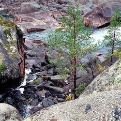 .....in der 75 Meter tiefen Schlucht