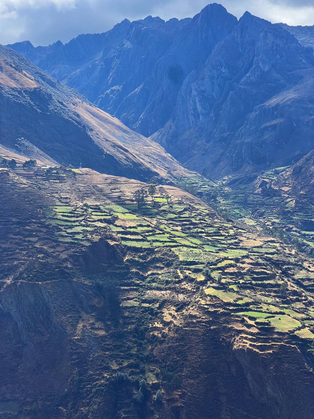 Agriculture in the middle Andies