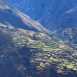 Agriculture in the middle Andies
