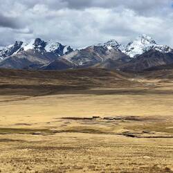 Back on high grass plains above 4000m