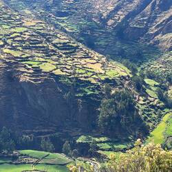 Terraced fields on steep mid slopes