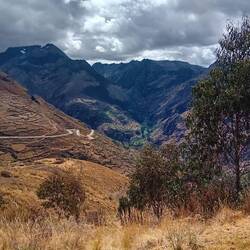 We changed valley, and exposure. Dryer land prevails, stone walls remain.