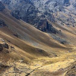 Dry stone walls serving as cattle enclosures