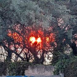 Sonnenuntergang