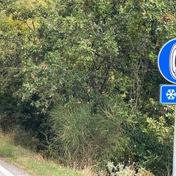 Schneekettenschilder überall 😀Und ein winziges Skigebiet soll es gehen ☃️