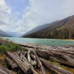 Duffy Lake (natürlicher Staudamm mit angeschwemmten Baumstämmen)