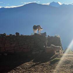 The Yerupajá (6635m), second highest peak in Peru, is briefly visible.