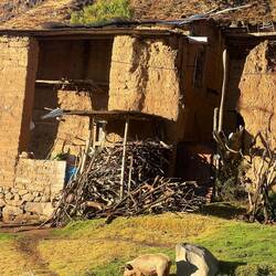 This is where the villagers who helped us live