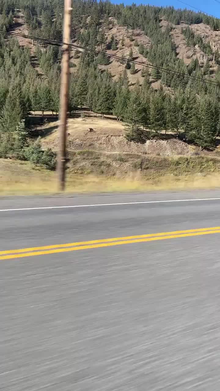 Fahrt Richtung Williams Lake.