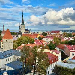 Was für eine Aussicht! Wer genau schaut, sieht sogar das Kreuzfahrtschiff die Tallinn!