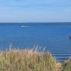 Lobster Cages ( Ende der Lobstersaison im Herbst ist Mitte Oktober)