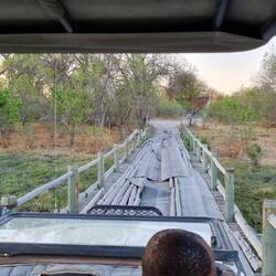 The bridge on the river Khwai. I have to drive across this tomorrow.